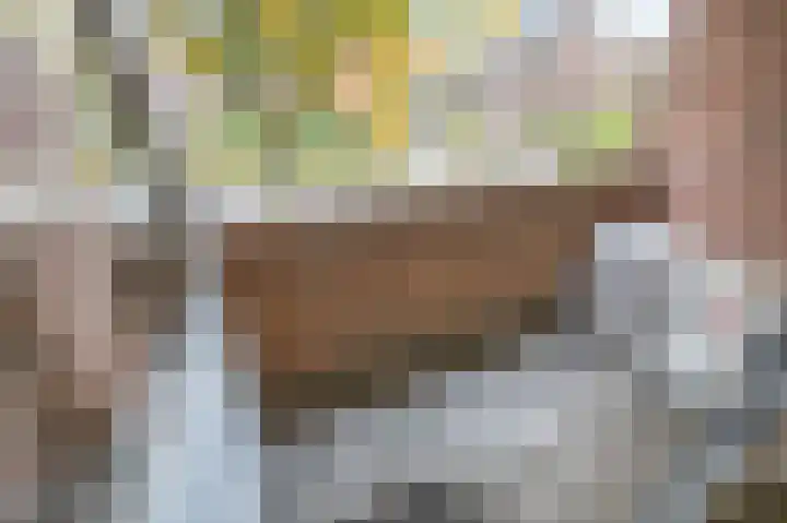 Doesburgseweg 10 Wehl thumbnail 51