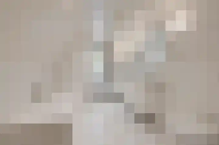 Doesburgseweg 10 Wehl thumbnail 52