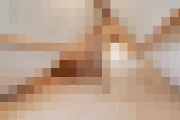 Doesburgseweg 10 Wehl thumbnail 63