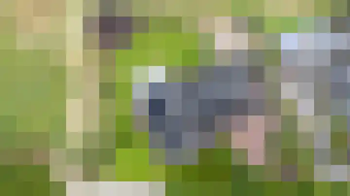 Doesburgseweg 10 Wehl thumbnail 70
