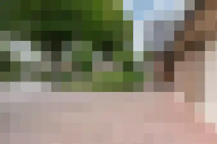 Doesburgseweg 10 Wehl thumbnail 9
