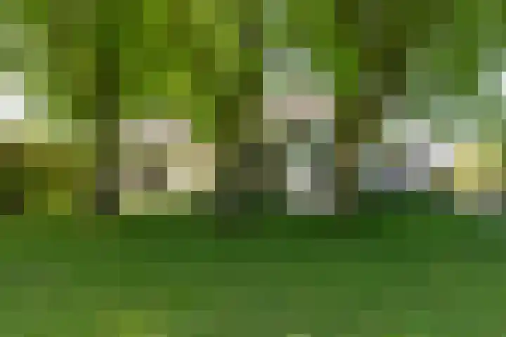 Doesburgseweg 22 Wehl thumbnail 10