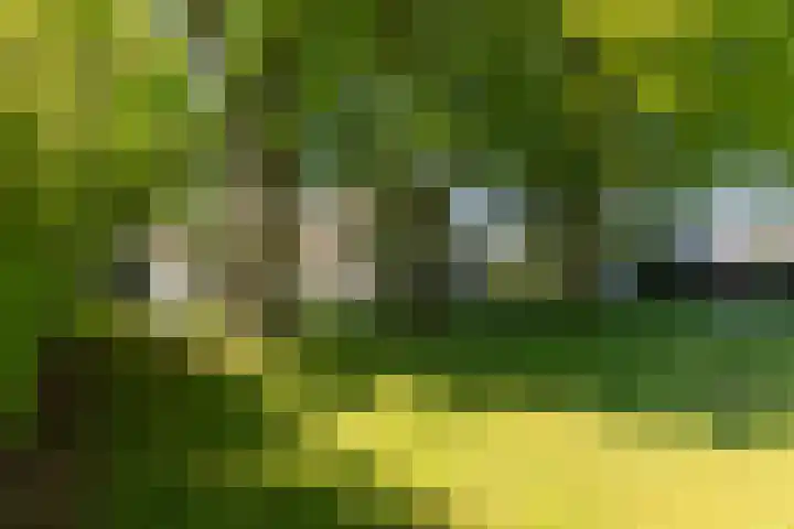 Doesburgseweg 22 Wehl thumbnail 11