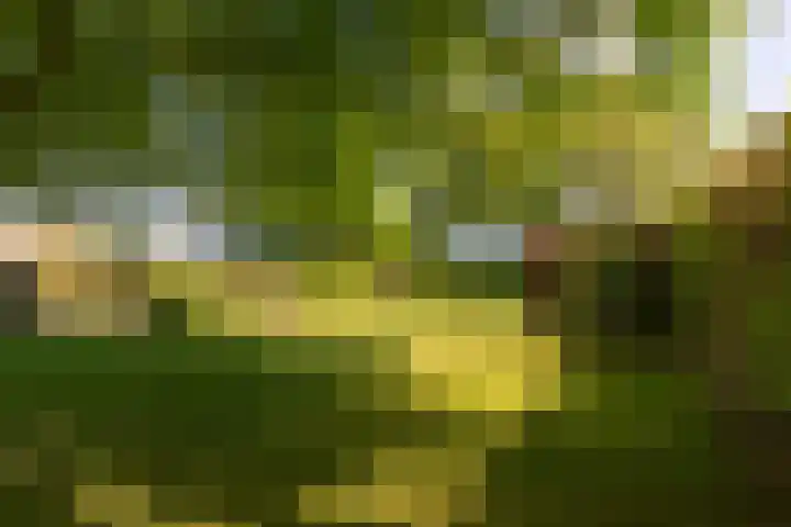 Doesburgseweg 22 Wehl thumbnail 12
