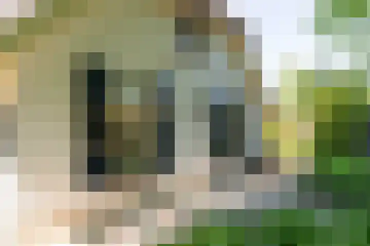 Doesburgseweg 22 Wehl thumbnail 13