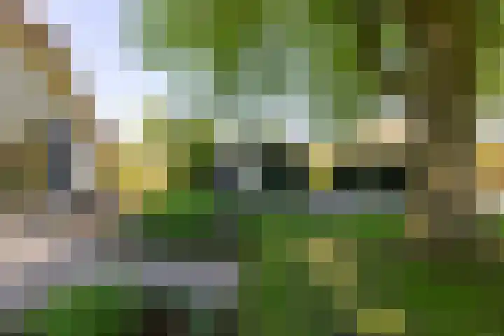 Doesburgseweg 22 Wehl thumbnail 14