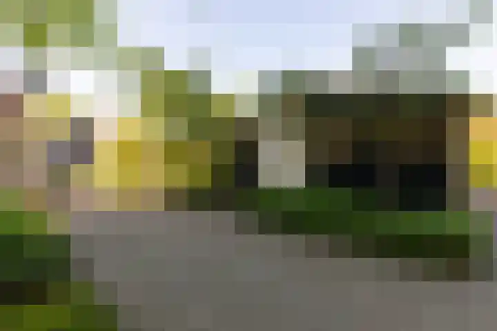Doesburgseweg 22 Wehl thumbnail 15