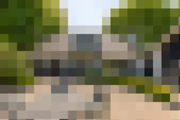 Doesburgseweg 22 Wehl thumbnail 16