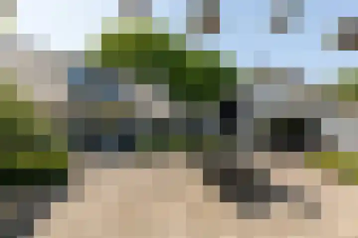 Doesburgseweg 22 Wehl thumbnail 17