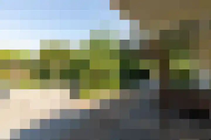 Doesburgseweg 22 Wehl thumbnail 18
