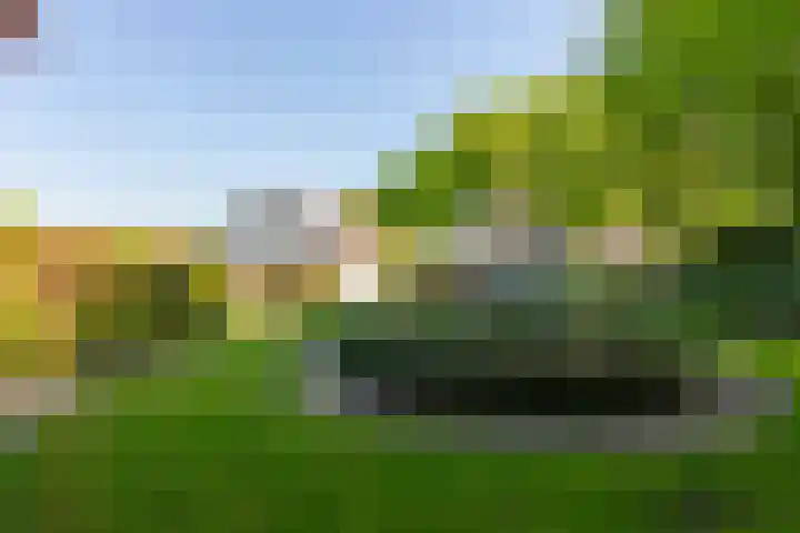 Doesburgseweg 22 Wehl thumbnail 21