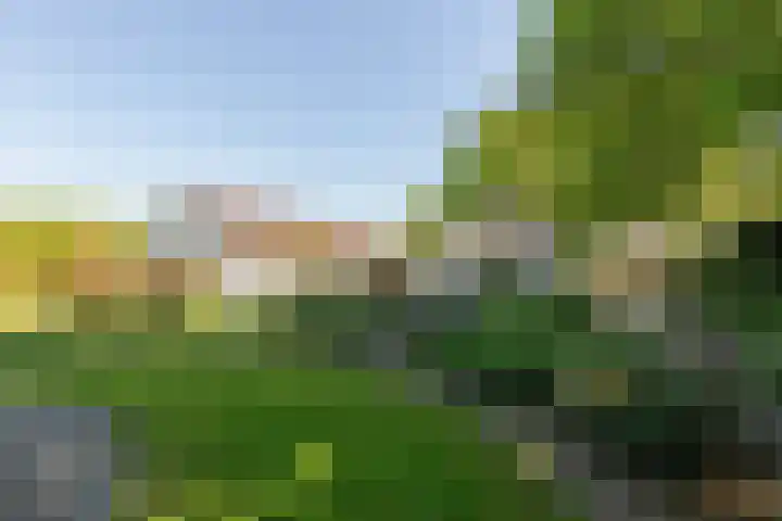 Doesburgseweg 22 Wehl thumbnail 22