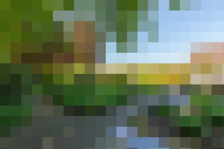 Doesburgseweg 22 Wehl thumbnail 24