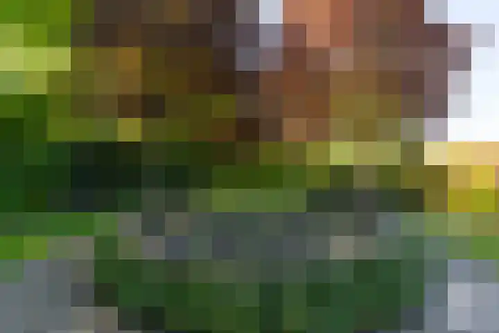 Doesburgseweg 22 Wehl thumbnail 25