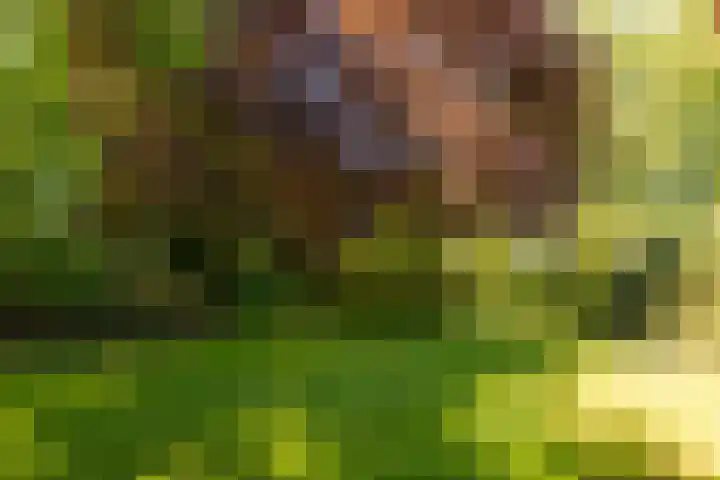 Doesburgseweg 22 Wehl thumbnail 26