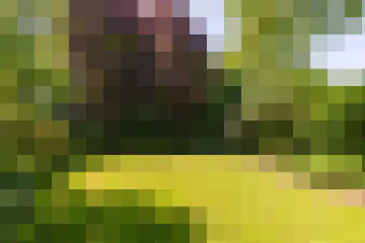 Doesburgseweg 22 Wehl thumbnail 27