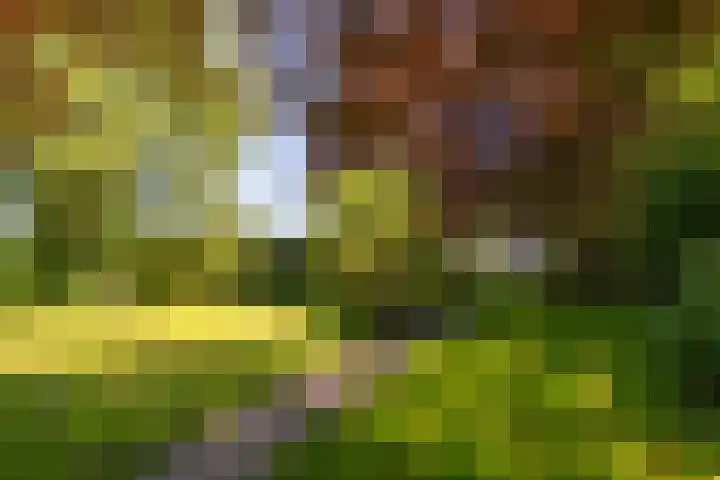 Doesburgseweg 22 Wehl thumbnail 28