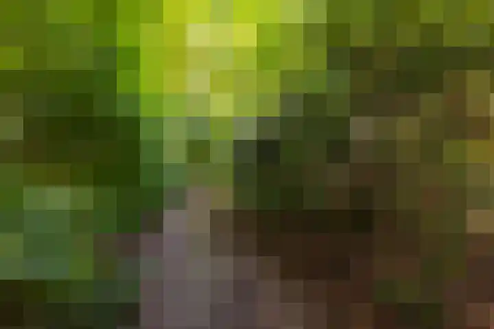 Doesburgseweg 22 Wehl thumbnail 29