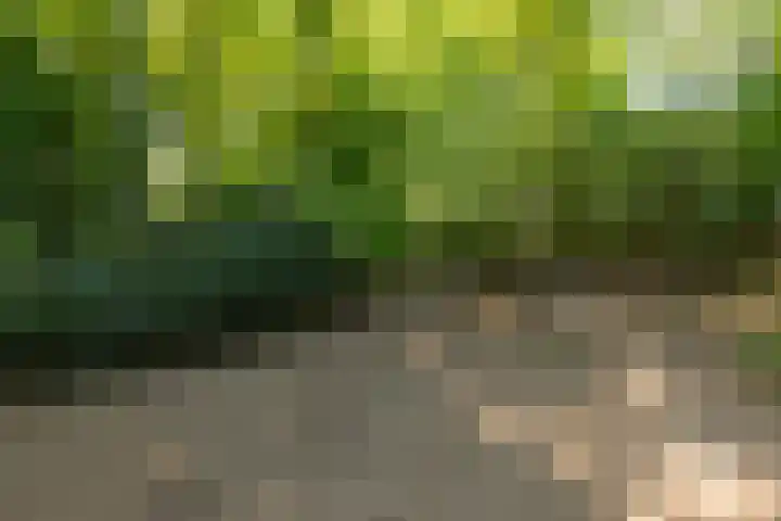 Doesburgseweg 22 Wehl thumbnail 30