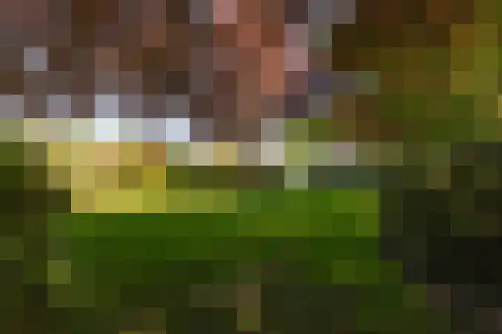 Doesburgseweg 22 Wehl thumbnail 31