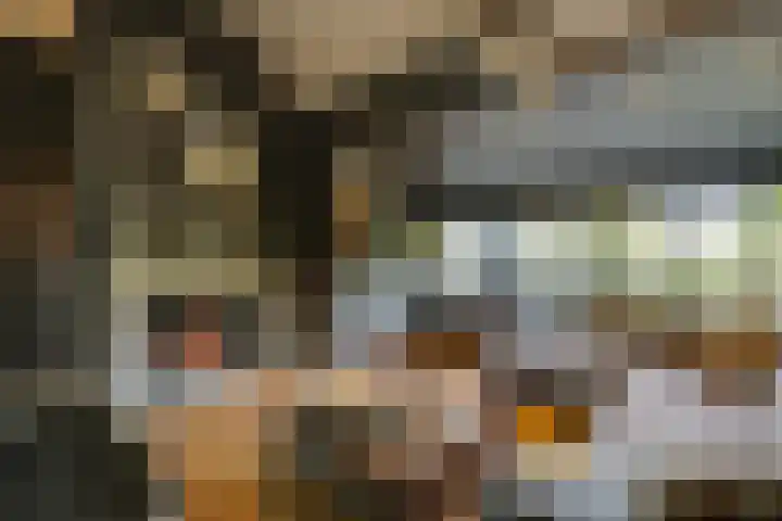 Doesburgseweg 22 Wehl thumbnail 33