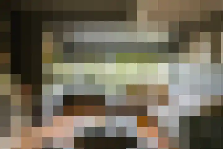 Doesburgseweg 22 Wehl thumbnail 34
