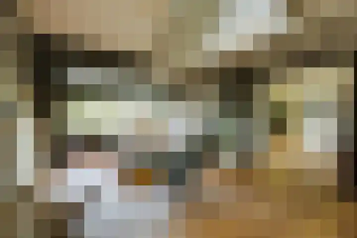 Doesburgseweg 22 Wehl thumbnail 36