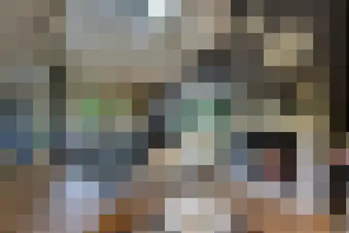 Doesburgseweg 22 Wehl thumbnail 38