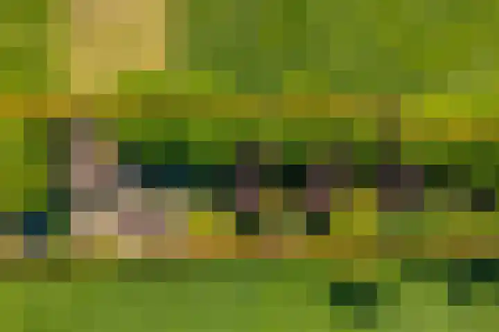 Doesburgseweg 22 Wehl thumbnail 4