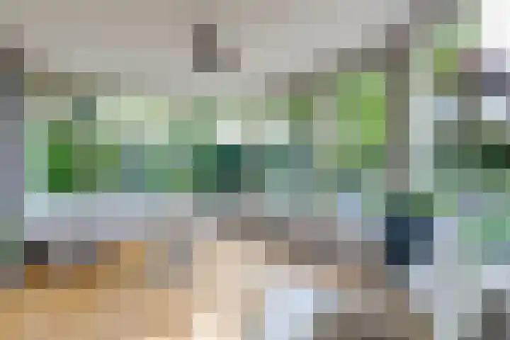 Doesburgseweg 22 Wehl thumbnail 41