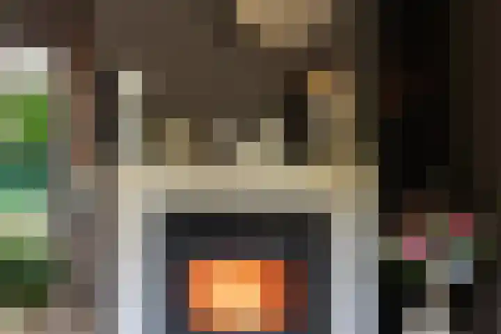 Doesburgseweg 22 Wehl thumbnail 43
