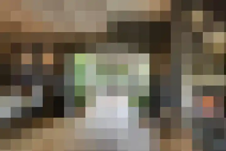 Doesburgseweg 22 Wehl thumbnail 44