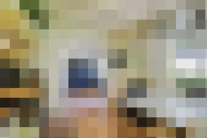 Doesburgseweg 22 Wehl thumbnail 48