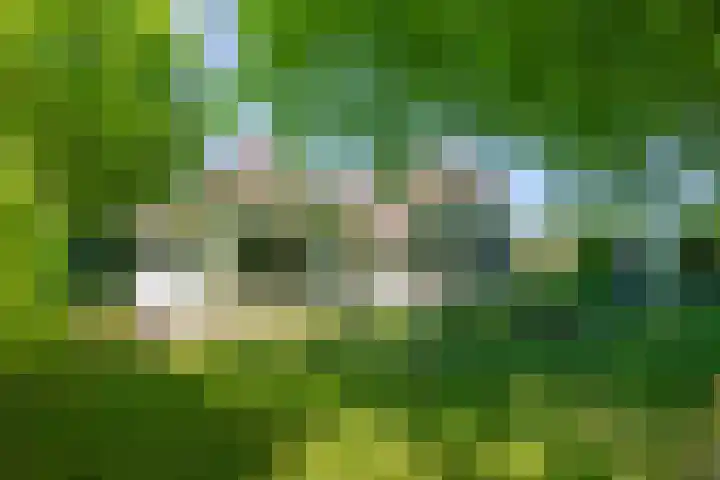 Doesburgseweg 22 Wehl thumbnail 5
