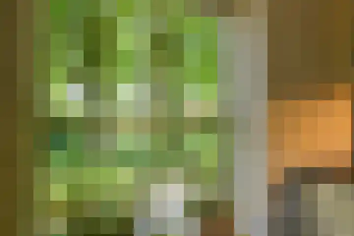 Doesburgseweg 22 Wehl thumbnail 50