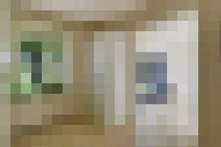 Doesburgseweg 22 Wehl thumbnail 52