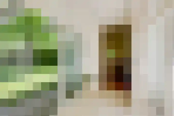 Doesburgseweg 22 Wehl thumbnail 54
