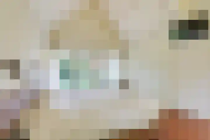 Doesburgseweg 22 Wehl thumbnail 57