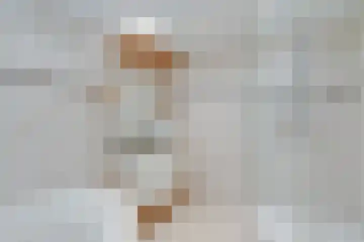 Doesburgseweg 22 Wehl thumbnail 59