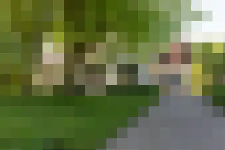 Doesburgseweg 22 Wehl thumbnail 6
