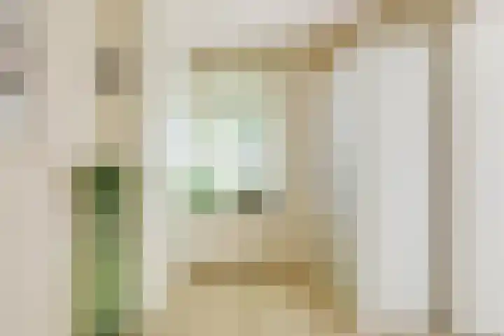 Doesburgseweg 22 Wehl thumbnail 61
