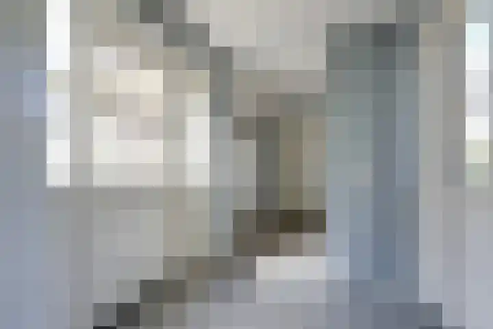Doesburgseweg 22 Wehl thumbnail 62