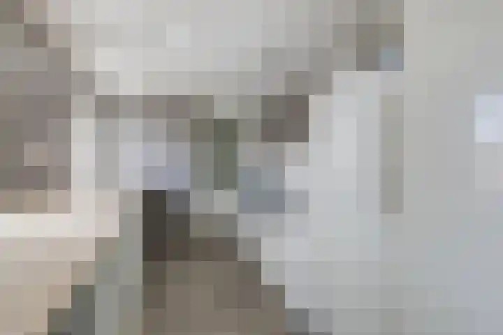 Doesburgseweg 22 Wehl thumbnail 65