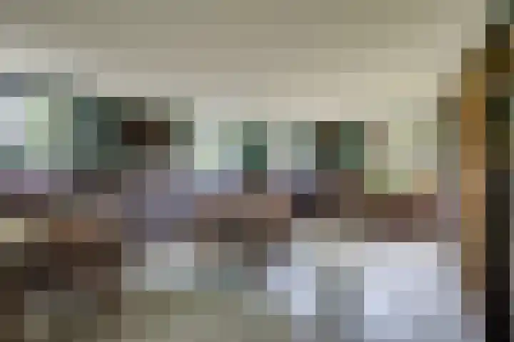 Doesburgseweg 22 Wehl thumbnail 69