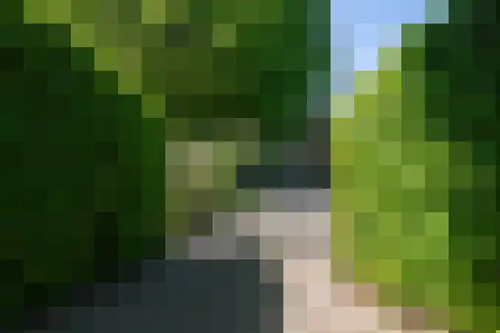 Doesburgseweg 22 Wehl thumbnail 7