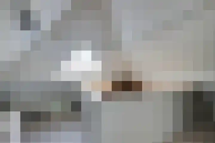 Doesburgseweg 22 Wehl thumbnail 77