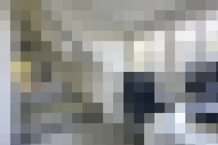 Doesburgseweg 22 Wehl thumbnail 78