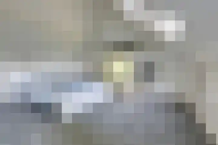 Doesburgseweg 22 Wehl thumbnail 79