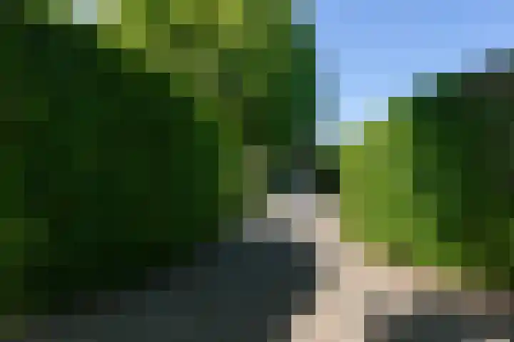 Doesburgseweg 22 Wehl thumbnail 8
