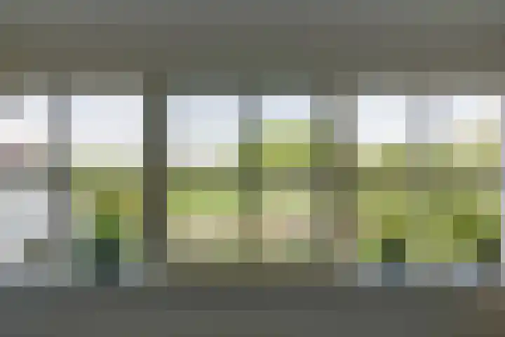 Doesburgseweg 22 Wehl thumbnail 83